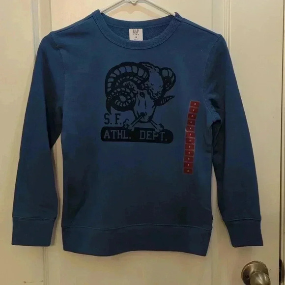 Gap Boy Terry Lined graphic Print crewneck pullover sweatshirt and pants - Picture 3 of 8